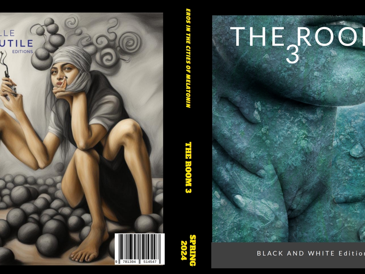 The THIRD ISSUE OF THE ROOM SURREALIST MAGAZINE /Pdf edition